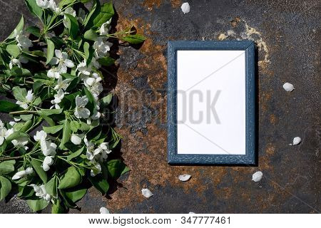 Creative Top View Apple Tree Blooming Flowers Brunch Frame On On Rustic Wooden   Background With Cop