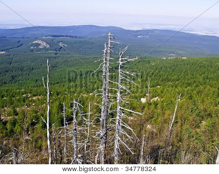 ภูเขา Harz