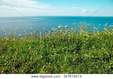 Beautiful Landscape Scenery Cliff Meadow, Water And Blue Sky. Cape Andoma, Karelia, Russia. Natural 