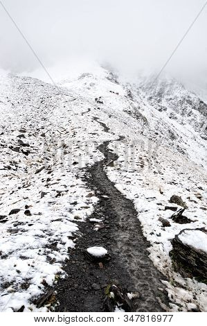 View Of The Path To The Atsunta Pass, Georgia