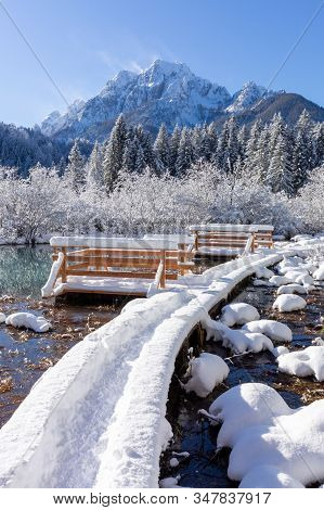 Zelenci Springs Nature Reserve Near Kranjska Gora, Slovenia In Winter. Sunny Morning With Fresh Snow