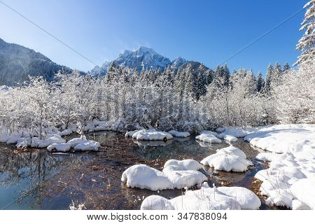 Zelenci Springs Nature Reserve Near Kranjska Gora, Slovenia In Winter. Sunny Morning With Fresh Snow