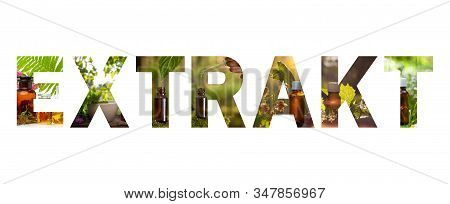 Inscription Extrakt Transparent Background. Extrakt Natural Medicine Word Concept, Text Isolated On 
