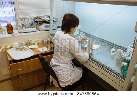 Scientist Works In A Laminar Box. Preparation Of Micro Plants For Cloning In Vitro