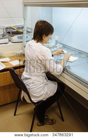Scientist Works In A Laminar Box. Preparation Of Micro Plants For Cloning In Vitro