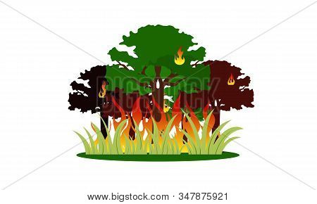 Forest Fire Natural Disaster Concept Vector Illustration