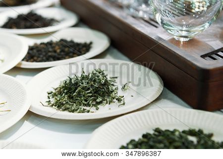 Paper Plates With Black, Green And Red Tea. Demonstration Sample On A Showcase.