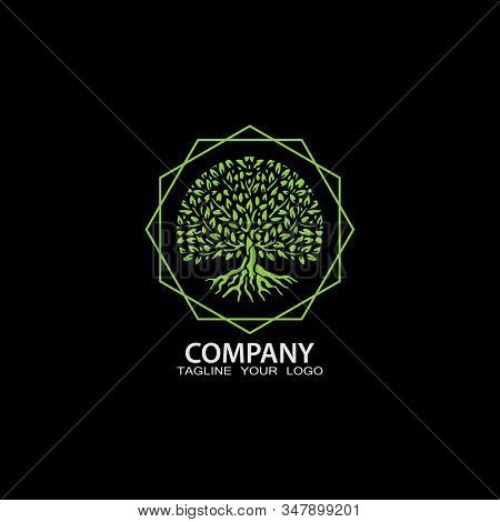 Company Logo Illustration Vector Design Can Use For Any Design Project