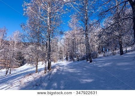 Winter Mountains On A Bright Sunny Day