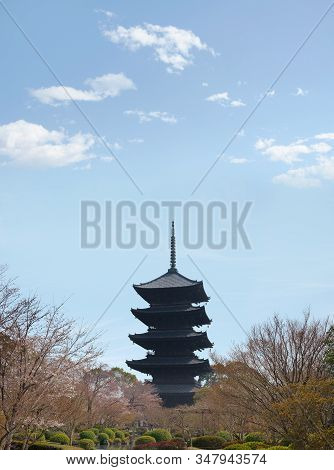 Five-storey Pagoda Surrounded By Cherry Trees In The Kyoto Buddhist Toji Temple Under A Blue Sky Dot