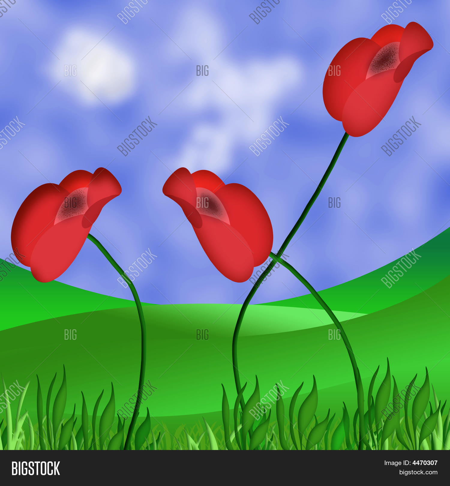Image Preview