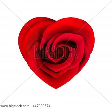 Red Rose Flower In Heart Shape. Heart Shaped Red Rose Isolated On White Background. Valentine's Day 
