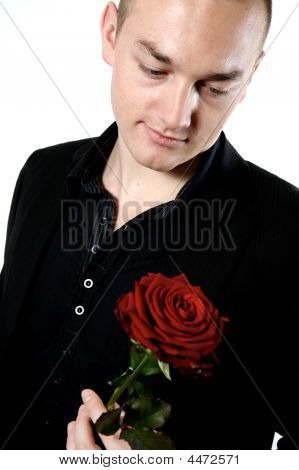 Hledáte Rose