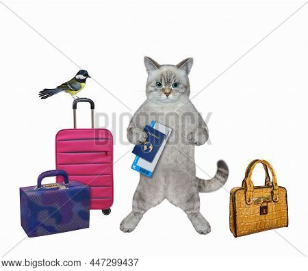 An Ashen Cat Tourist With Suitcases And A International Passport Is Going To Travel. White Backgroun