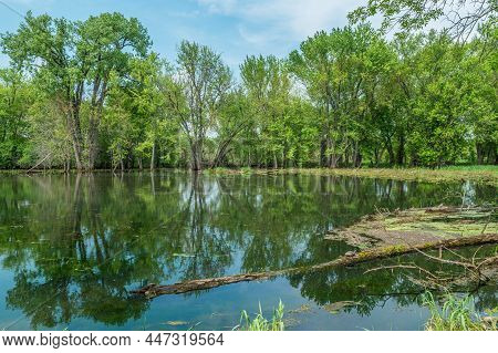 A Serene Setting Still And Quiet At A Flooded Area Of The Trempealeau Refuge An Inlet Of The Mississ