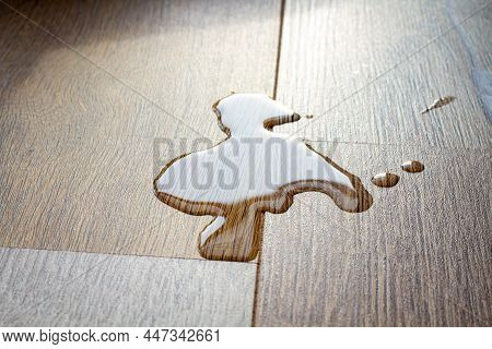 Laminate And Water. Wooden Floors Are Impervious To Moisture.