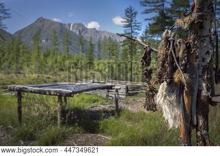 The Hunter's Parking In Forest At The Mountains Landscape