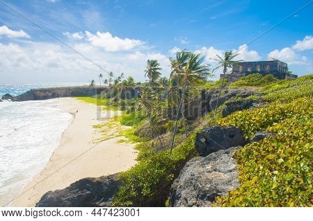 Harrismith Beach is one of the most beautiful beaches on the Caribbean island of Barbados. It is a tropical paradise with palms hanging over turquoise sea and a ruin of an old mansion on the cliff