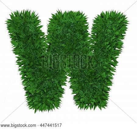 3d Rendering Leaves English Alphabet Font. Decorative Nature Plant Letters. Ecology Concept