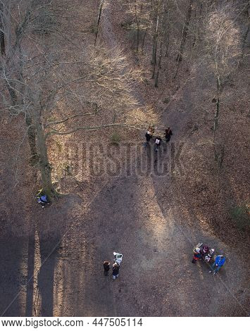 Doorn, Netherlands, 25-12-2021: Birds Eye View Of People Walking In Warm Sunlight Trough Winter Fore