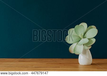 Plant Decoration On Turquoise Background On Wooden Desk