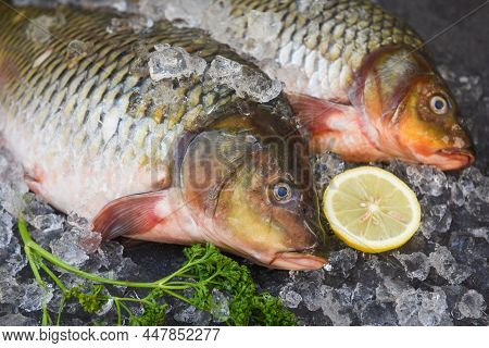 Carp Fish, Fresh Raw Fish On Ice For Cooked Food With Parsley Lemon And Dark Background, Common Carp