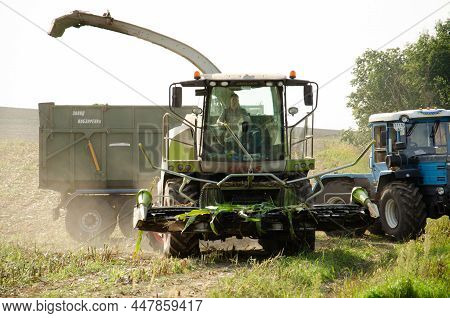 Lutsk, Ukraine - September 11 2021. Combine Cuts Corn Trunks And Dumps It Into Truck On Corn Field. 