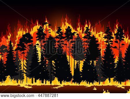 Wildfire Danger Disaster Of Forest Fire Flames. Burning Vector Pine Trees And Bushes Nature Backgrou