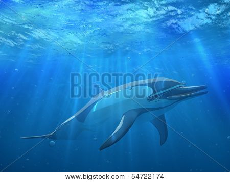 Dolphin under water with bubbles