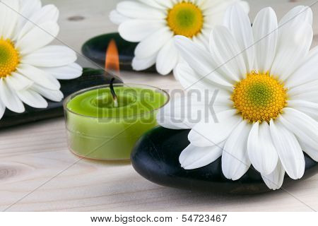 spa concept