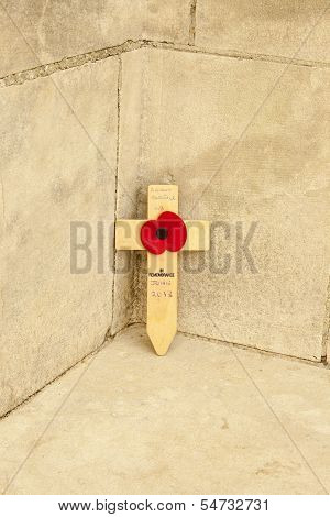 Tyne Cot Cemetery Poppy Flanders Fields World War One