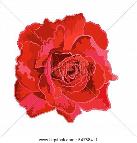 Roses Red..eps