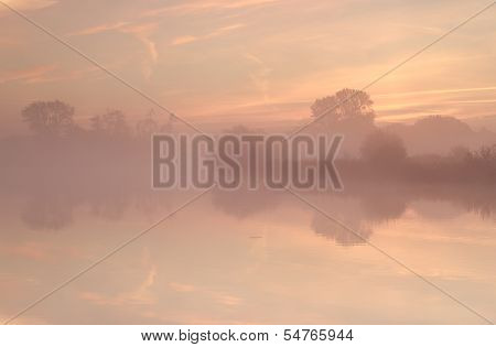 Tree Silhouettes By Lake During Misty Sunrise