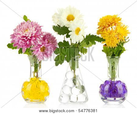 Beautiful flowers in vases with hydrogel isolated on white
