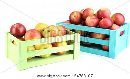 Juicy apples in wooden boxes isolated on white