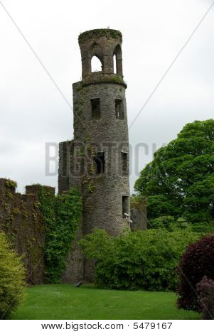Castello di Blarney, Irlanda