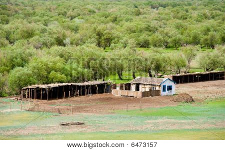 Granja de verano