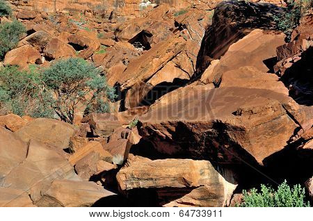 Rock Engravings At Twyfelfontein, Namibia
