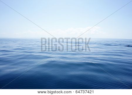 into the blue