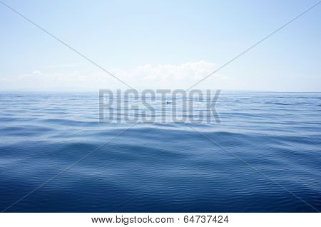 into the blue