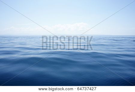 into the blue