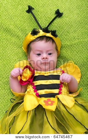 A small child in a fancy dress bees on a green background