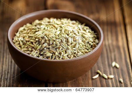 Fennel
