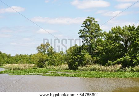 Fishing Pond