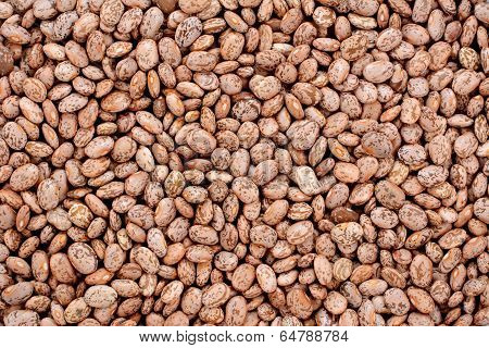 Pinto Beans Background