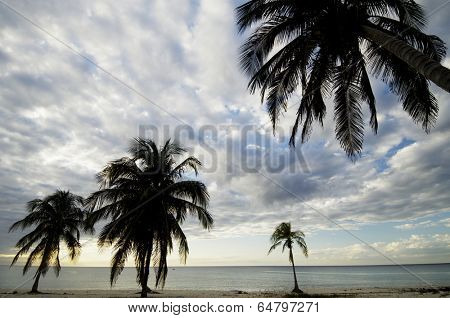 sunset at the beach tropical Maria la Gorda, Guanahacabibes Peninsula in Cuba