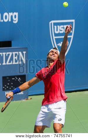 Professional tennis player David Ferrer practices for US Open 2014