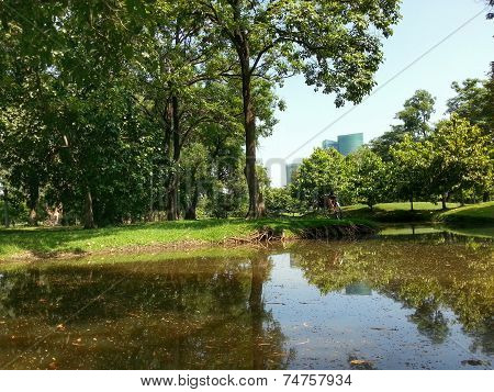 Bicycle in park H.D.R.
