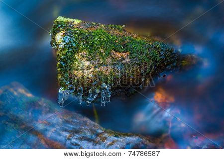 Water beast
