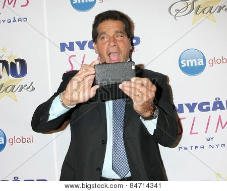 LOS ANGELES - FEB 22:  Lou Ferrigno at the Night of 100 Stars Oscar Viewing Party at the Beverly Hilton Hotel on February 22, 2015 in Beverly Hills, CA